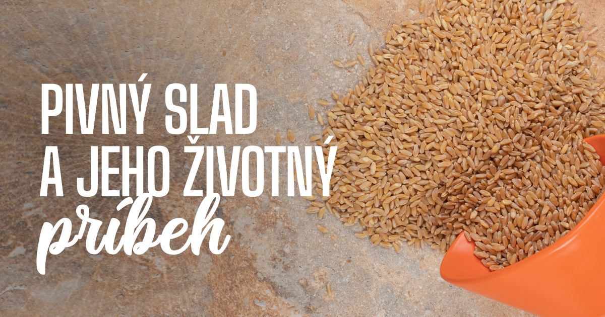 Pivný slad a jeho životný príbeh